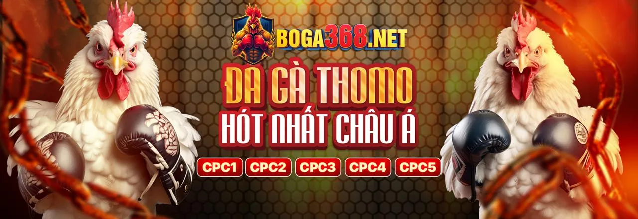 Đá Gà Trực Tuyến C8BET - Sân Chơi Đỉnh Cao